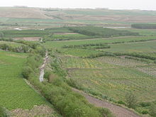 Türkischer Wein